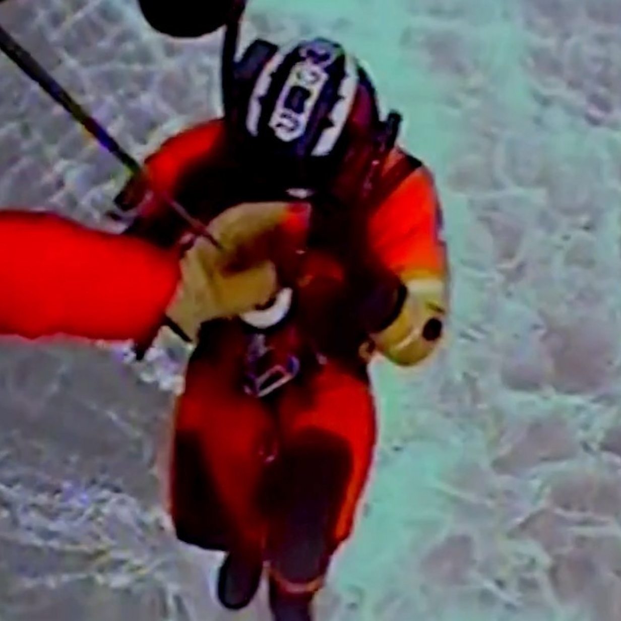 Dog Airlifted To Safety After Falling Off Cliff In Oregon - Videos from The  Weather Channel