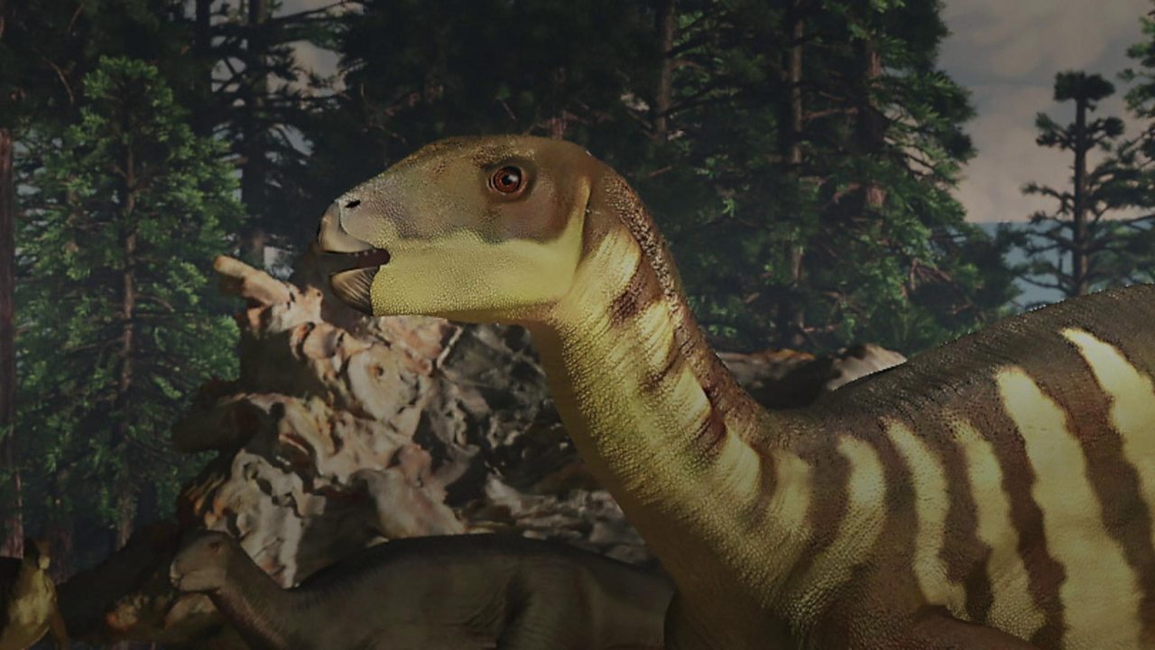 new dinosaur find