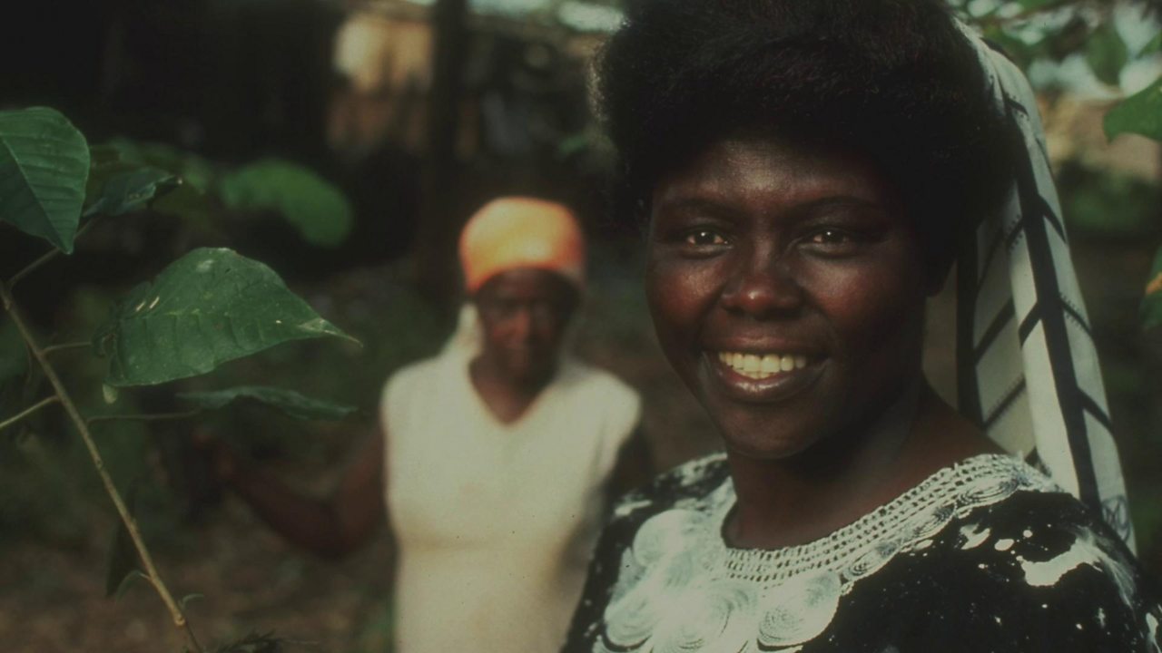 BBC Partners | The story of the first African woman to win the Nobel Peace  Prize - Witness History