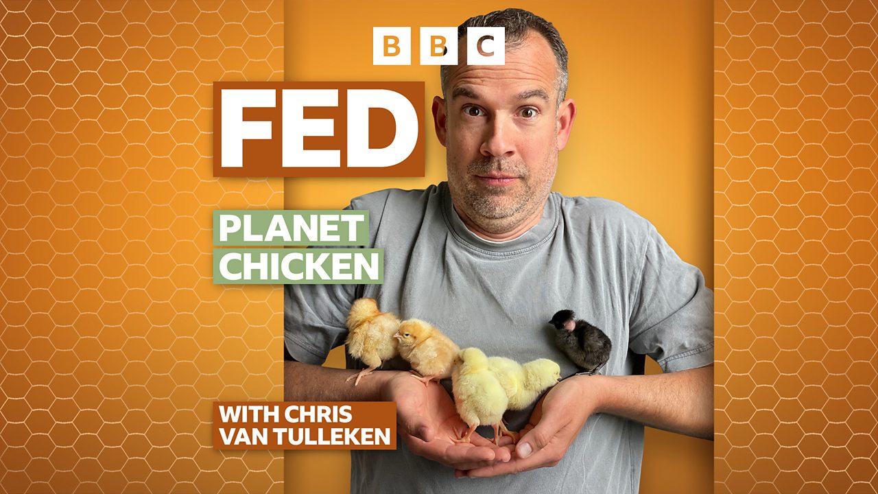 BBC Partners | Fed: A Chicken and Egg Story - Discovery