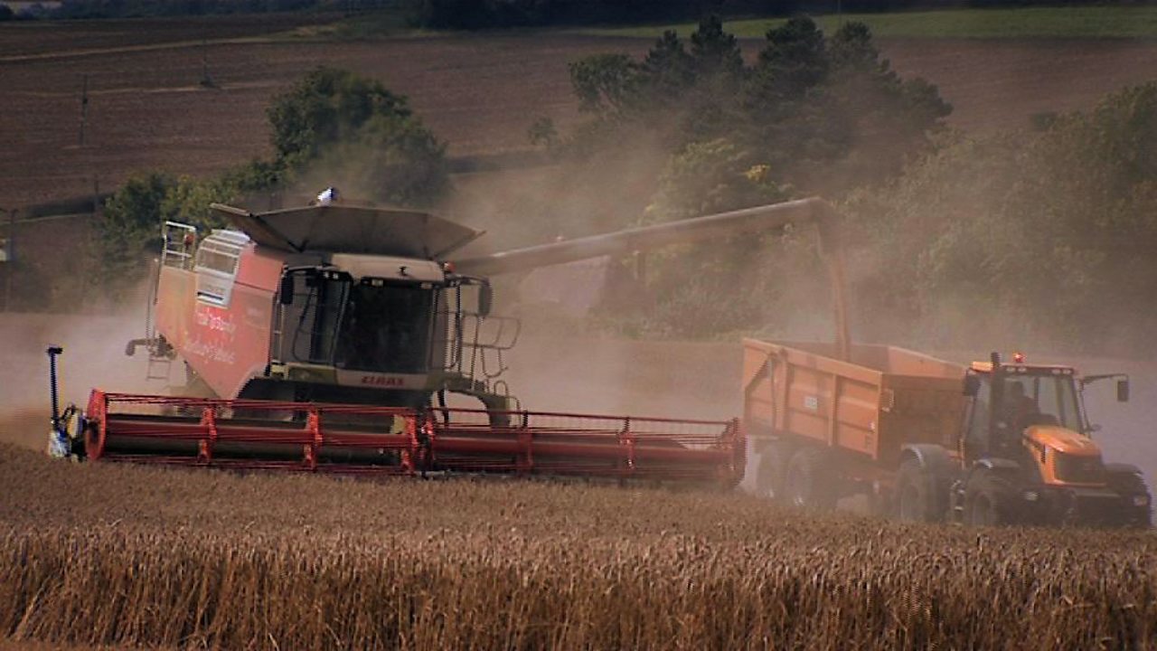 The development of agribusiness in the UK