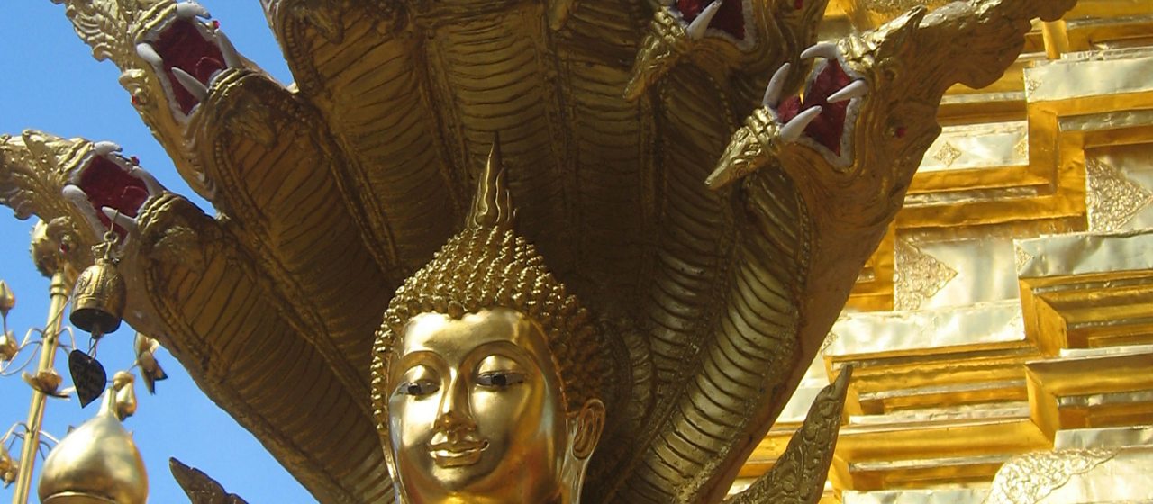 Why do Buddhists meditate?