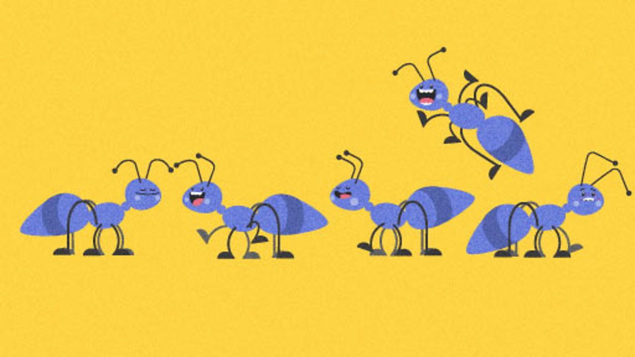 Illustration of ants for Learning, Schools, KS1 computing