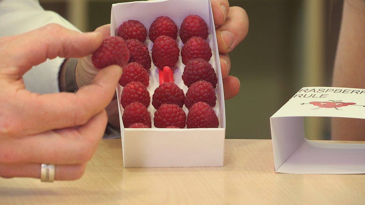How to design packaging for soft fruit using 2D and 3D software