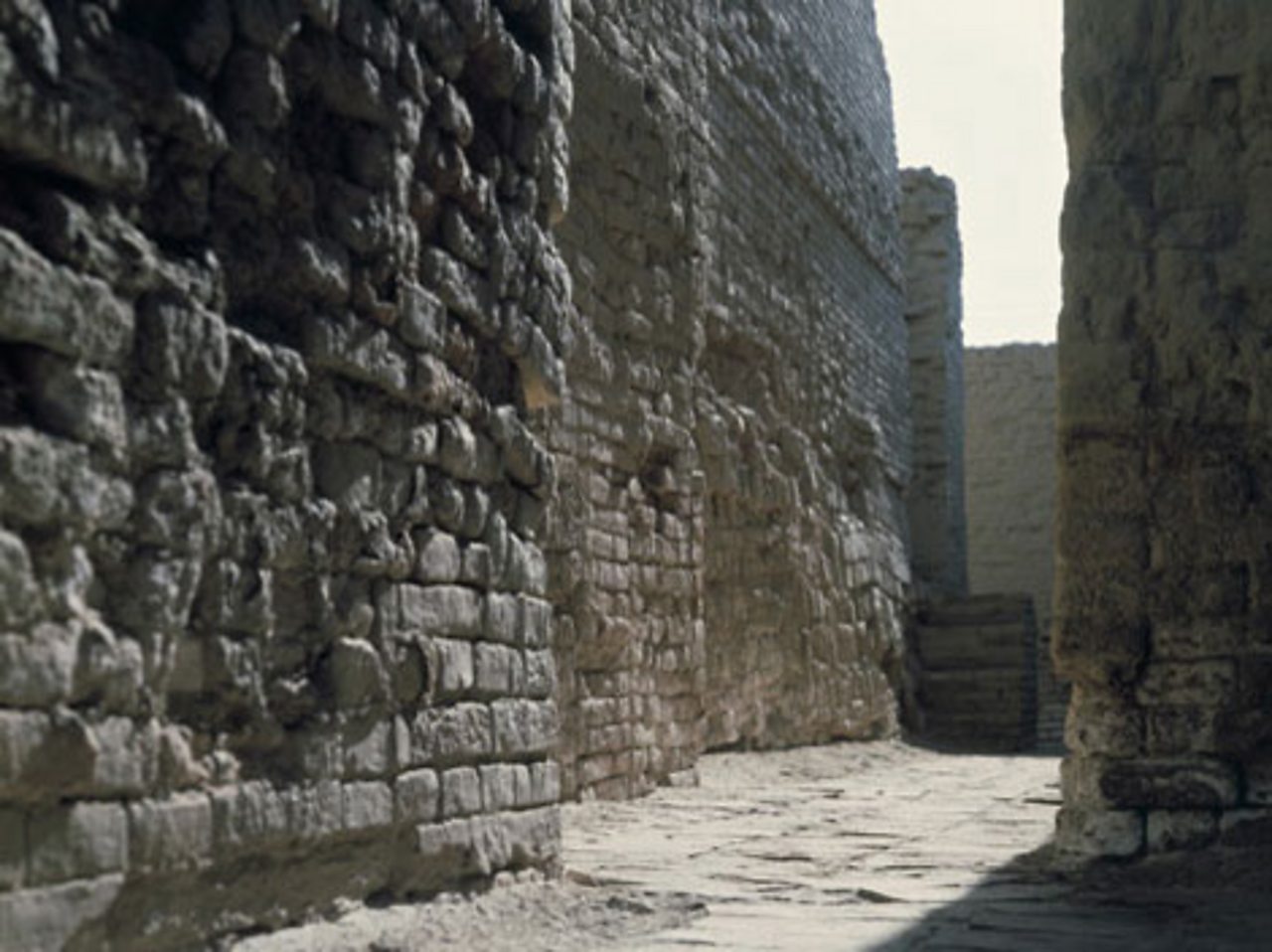 The ruins of an ancient Indus city street