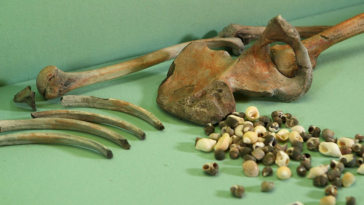 What do ancient bones tell us about the Stone Age?