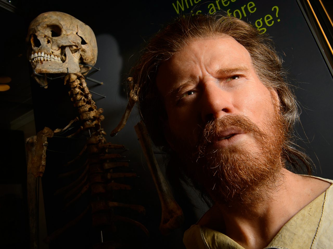 The skeleton of a Neolithic man displayed next to a recreation of his face