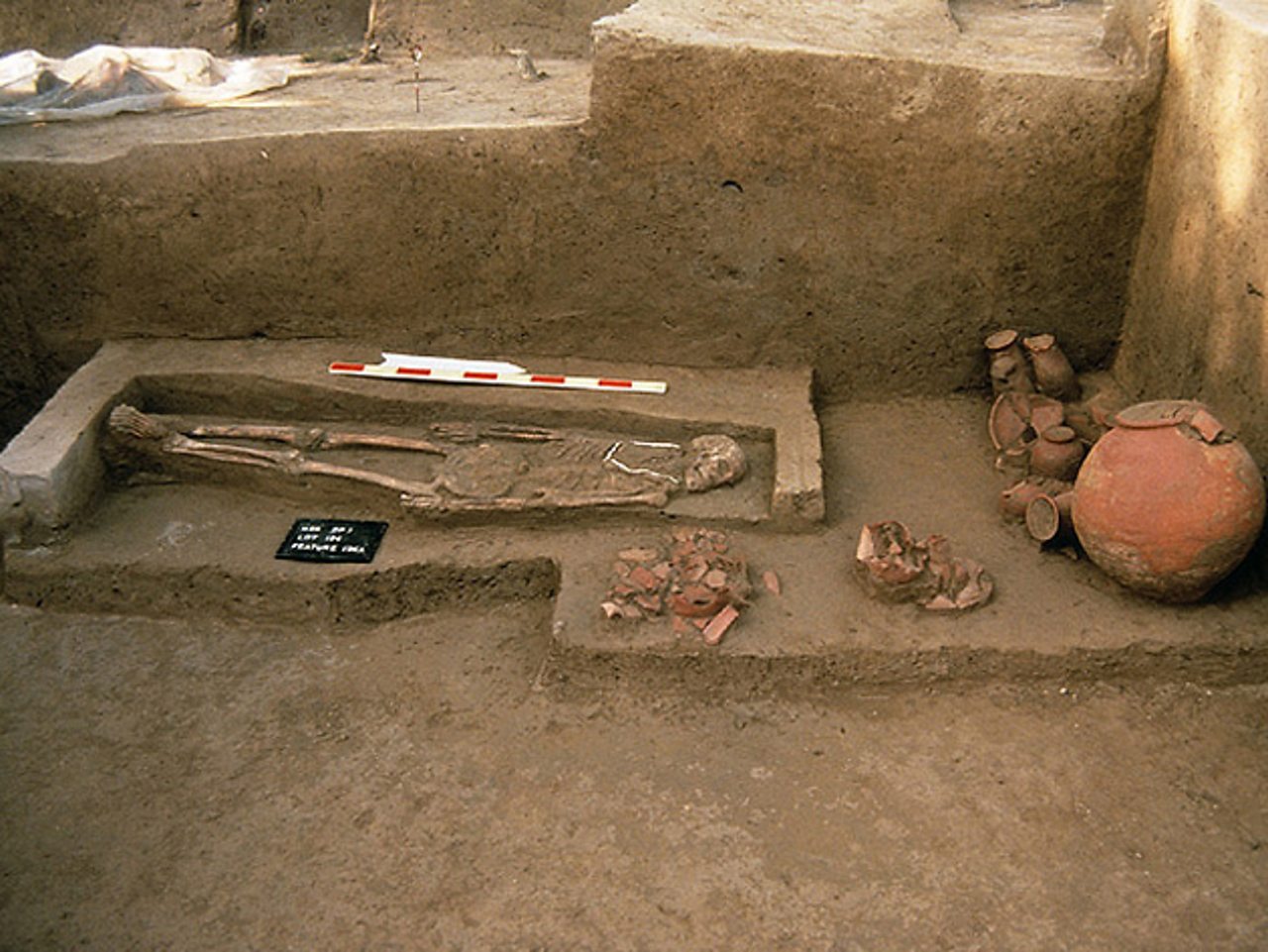 A skeleton and pottery found in the ruins of an Indus grave