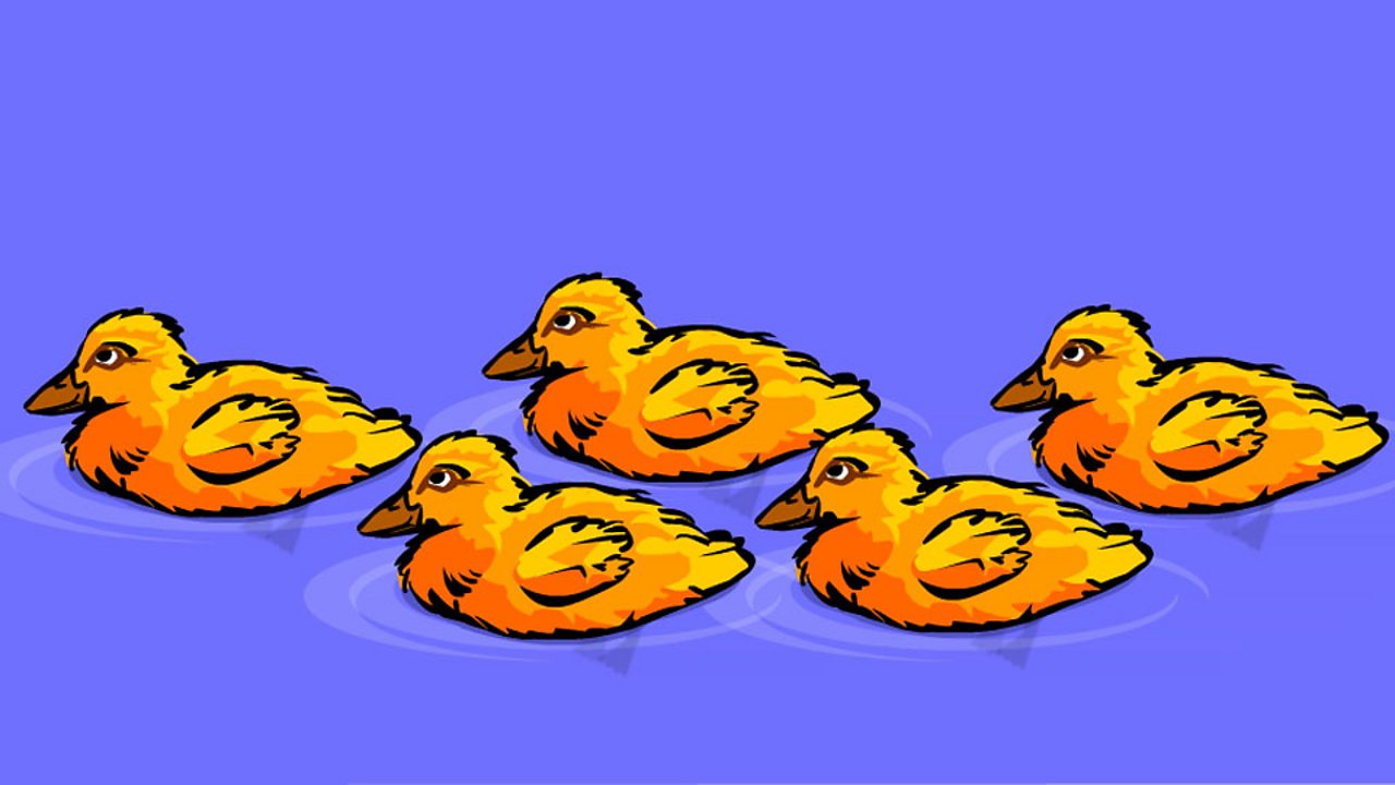 Five little ducks went swimming one day - BBC Teach