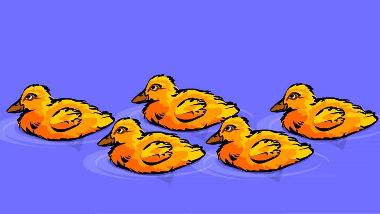 Five little ducks went swimming one day