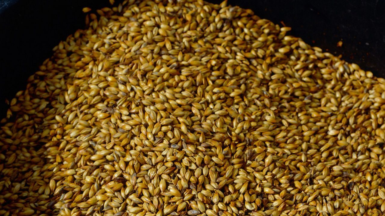 A pile of malt