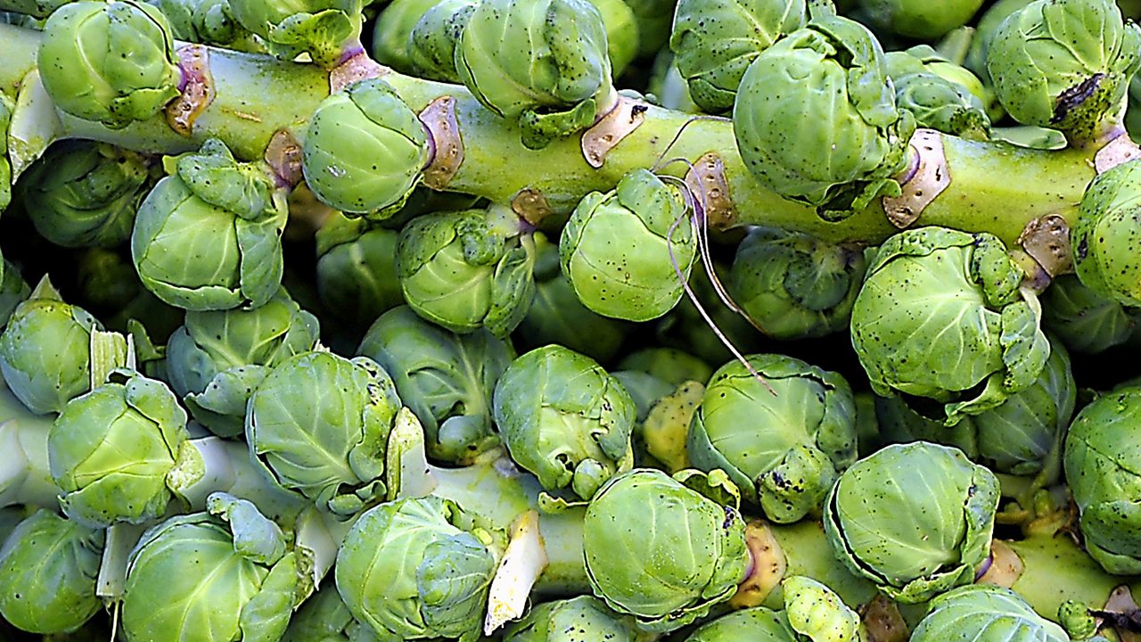 Why doesn't an igloo melt? BBC Teach