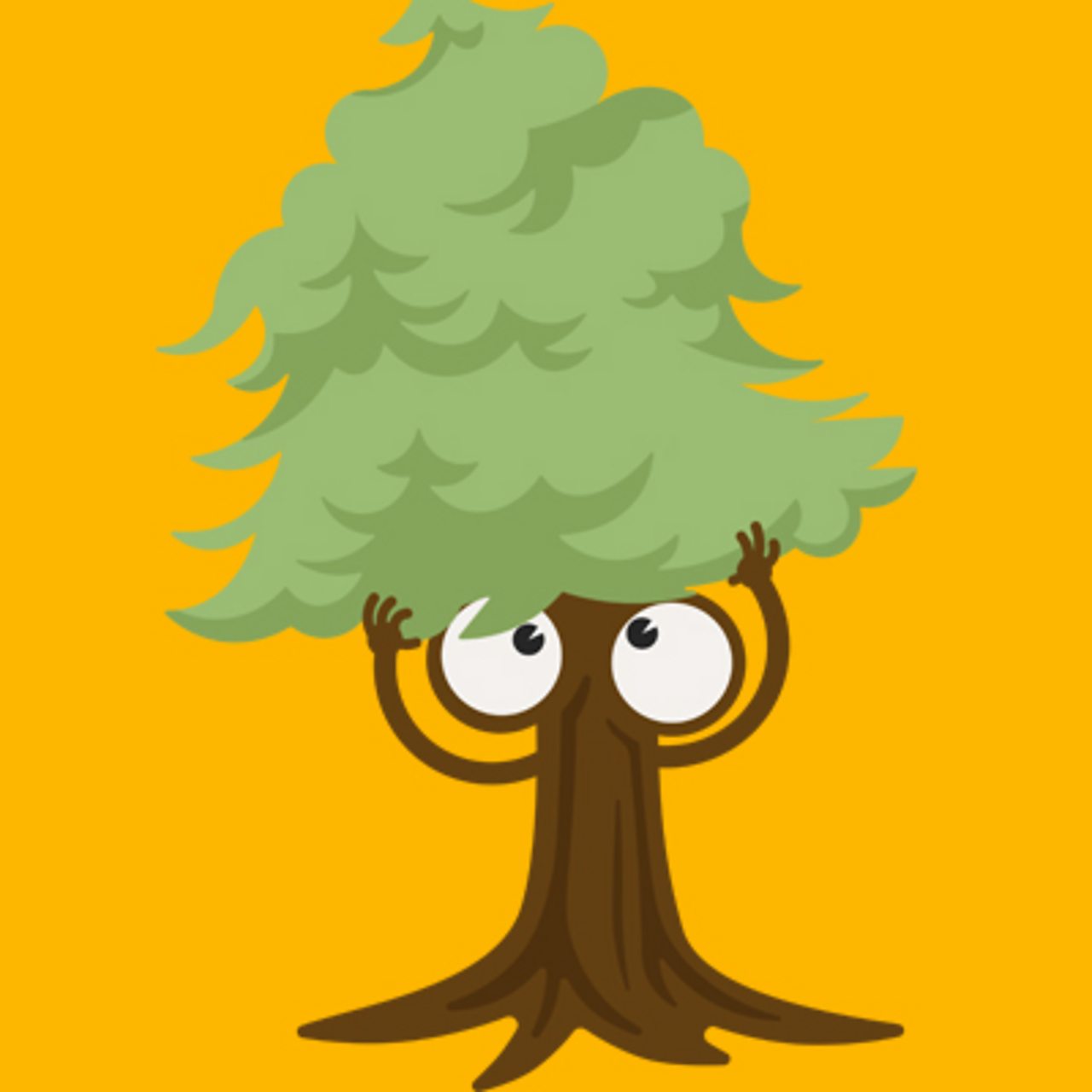 Trees: Classroom presentation - BBC Teach