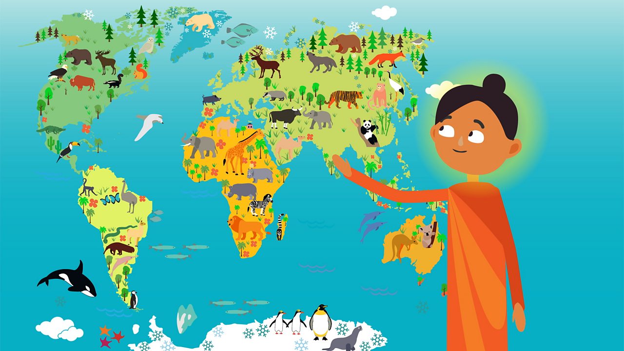 Religious Studies KS1: The Buddhist Story of Siddhartha and the Swan and  The Monkey King - BBC Teach