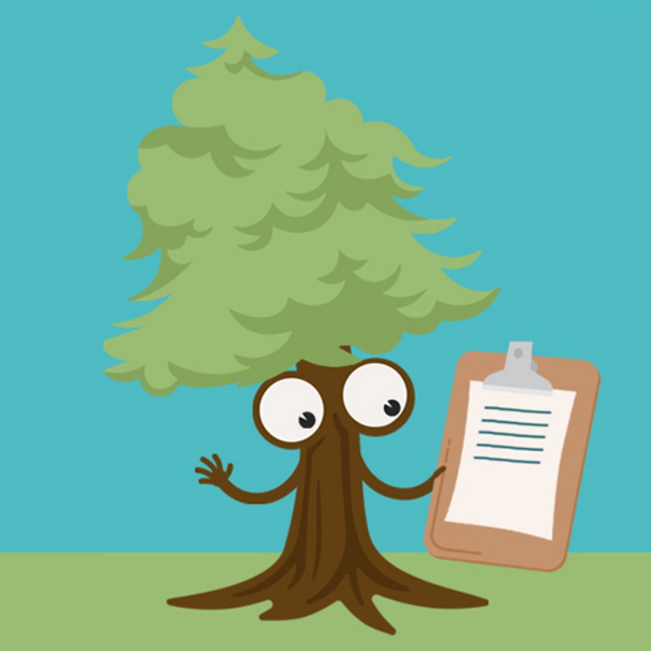 Trees Investigation - Classroom presentation