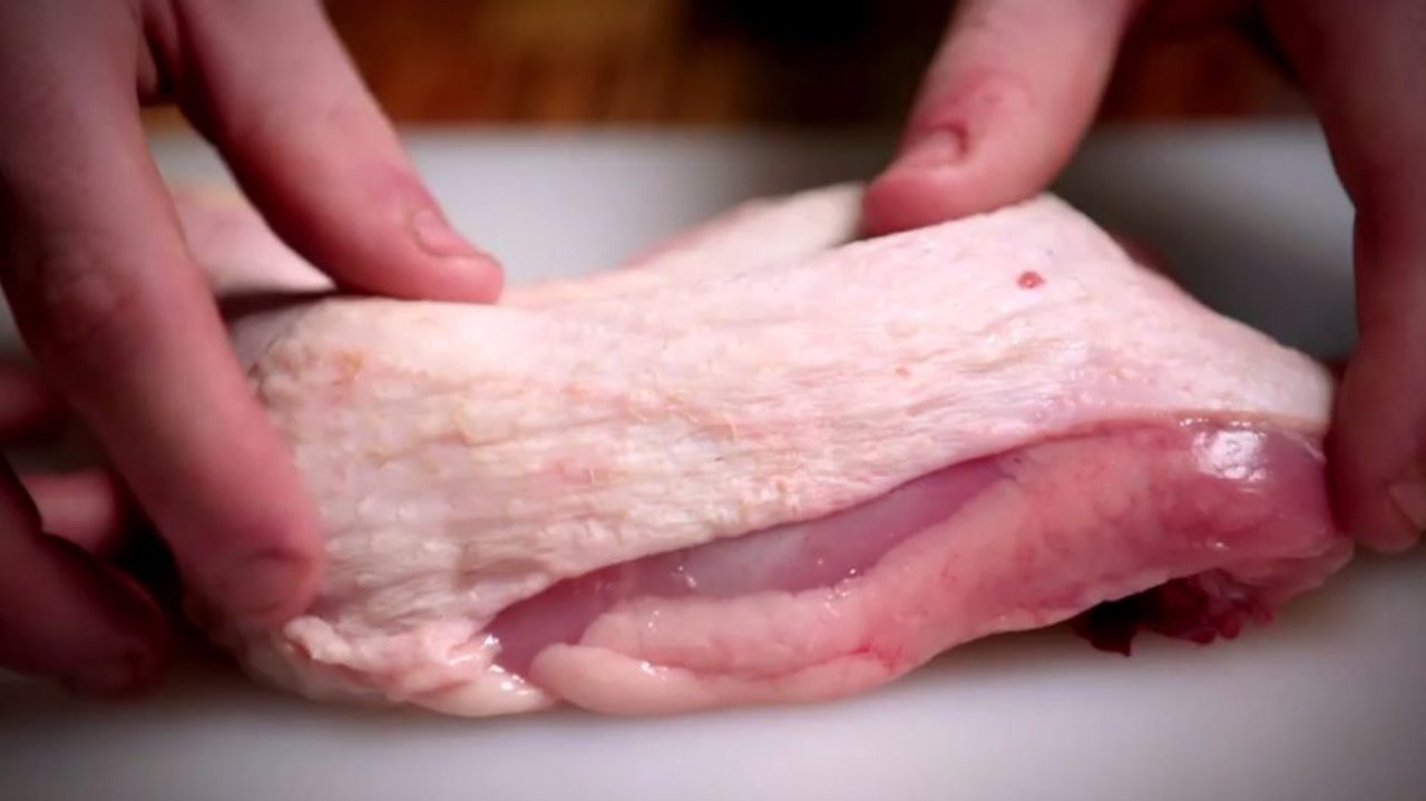 chicken leg dissection