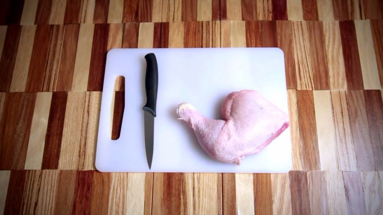 chicken leg dissection