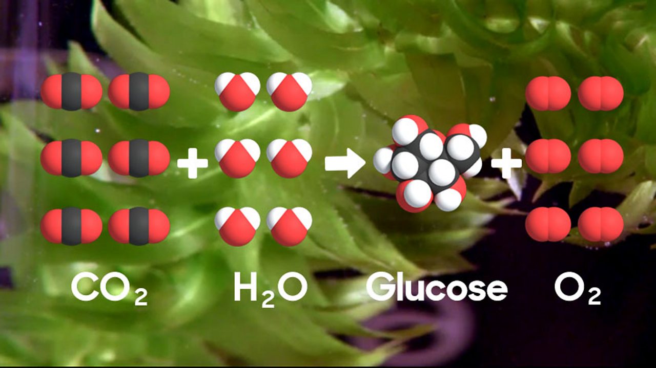 carbon dioxide formula and photosynthesis