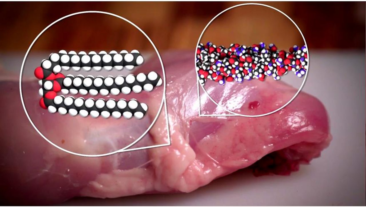 A diagram showing the fat molecules in a piece of chicken