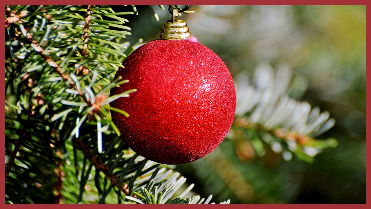 An image of a bauble on a tree.