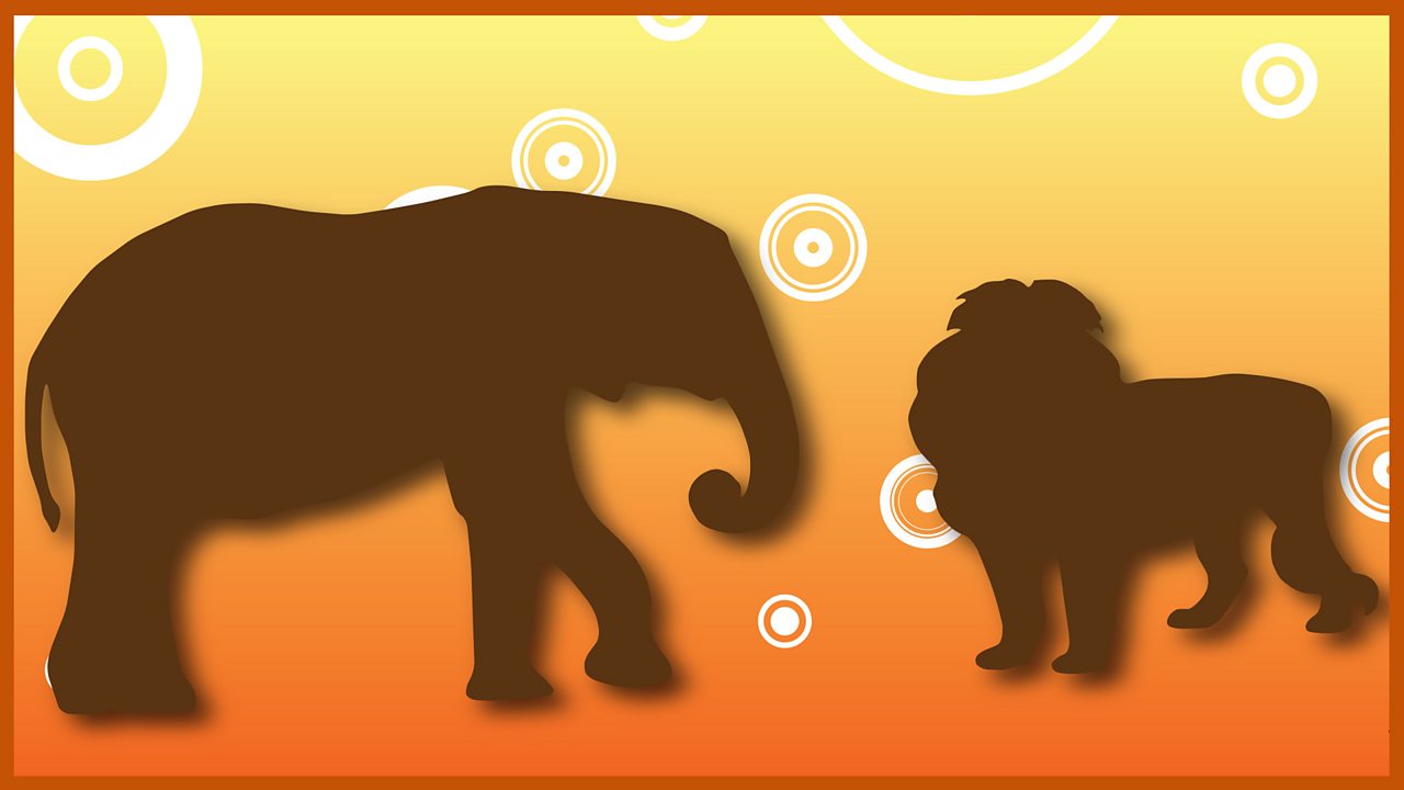 20. The Lion and the Elephant
