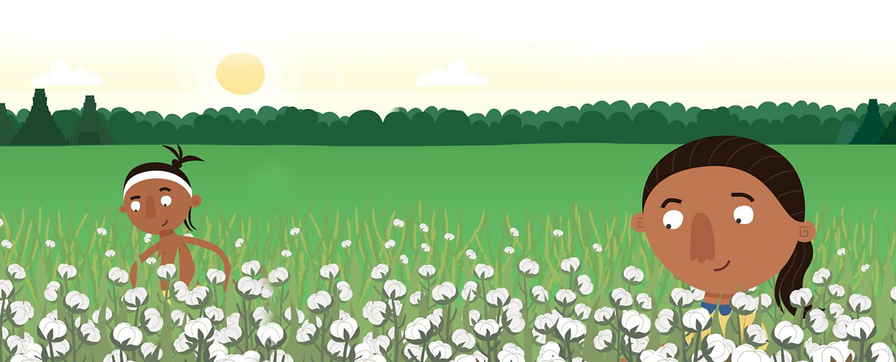 Two Maya farmers in a cotton field