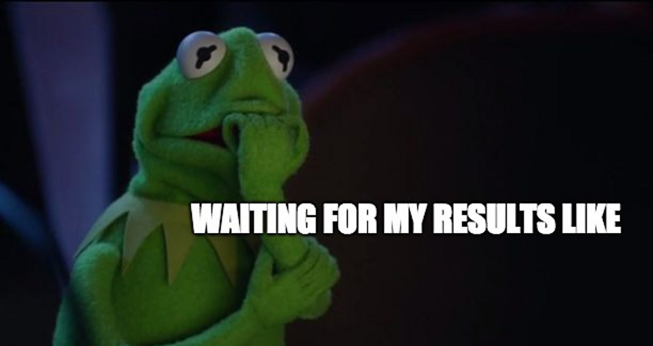 kermit the frog looking concerned
