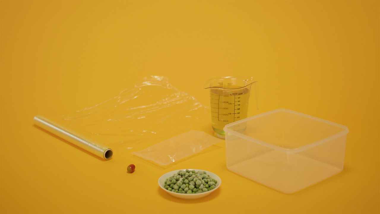 A picture of the equipment needed to make a model plant cell