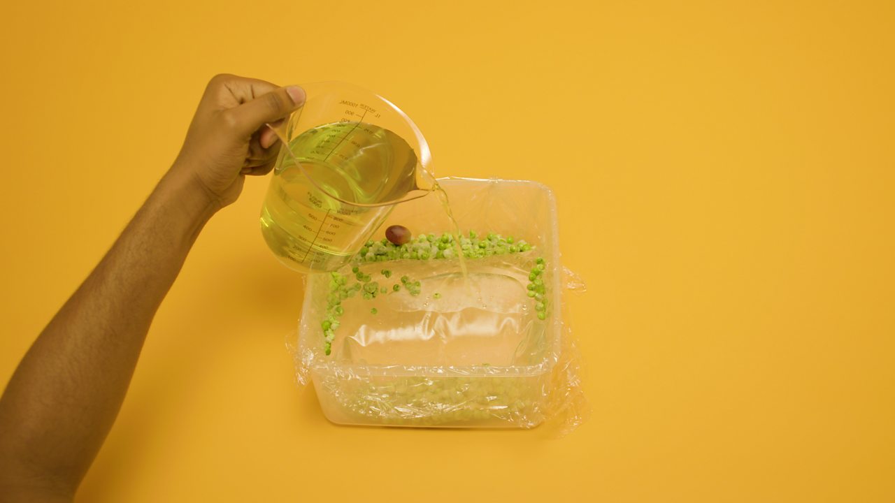 A person pours water into the box