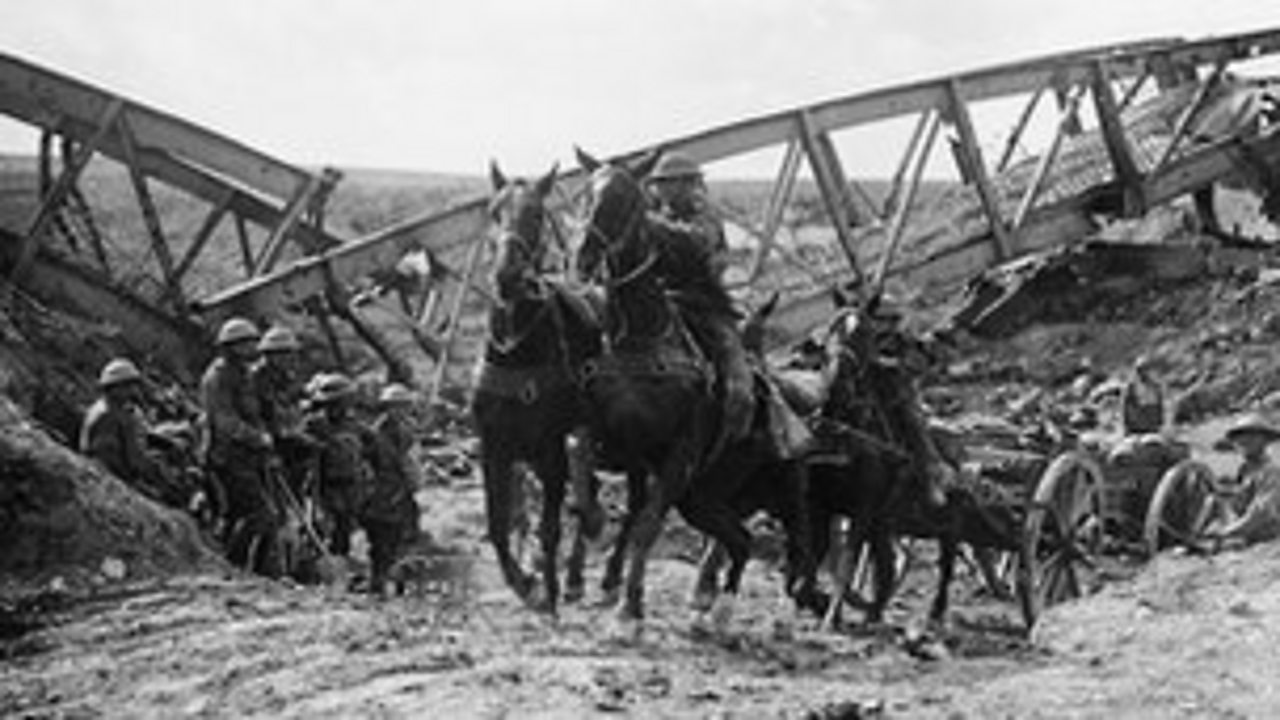 War horses pulling a cart in a World War One battlefield