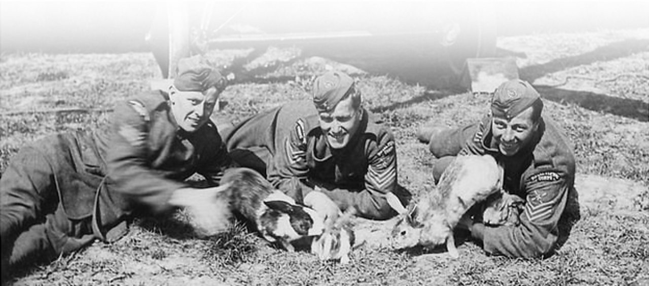 RAF men with pet rabbits on the Western Front in France during World War One