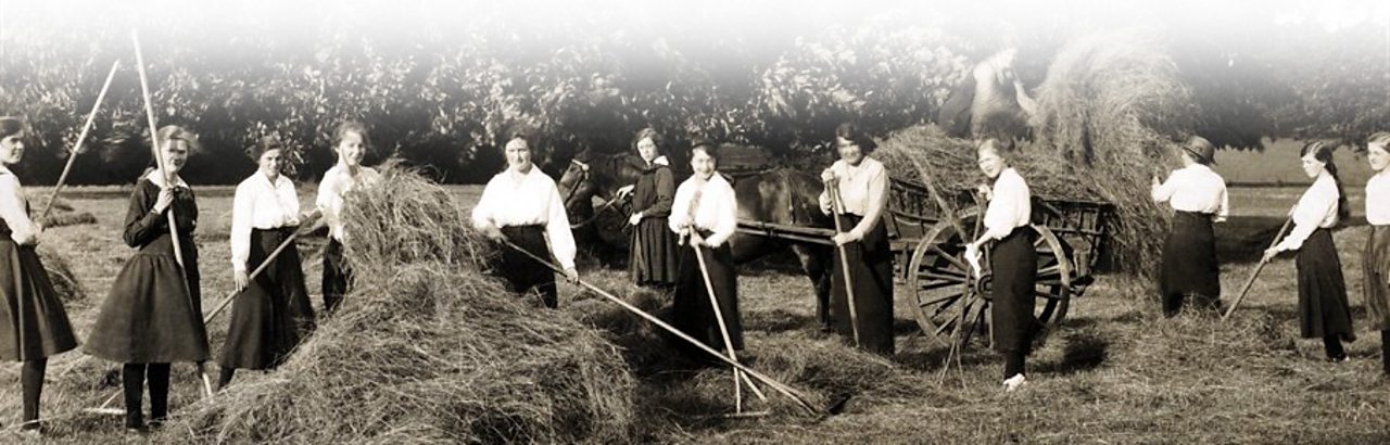 Young women raking hay near Northmapton in 1915
