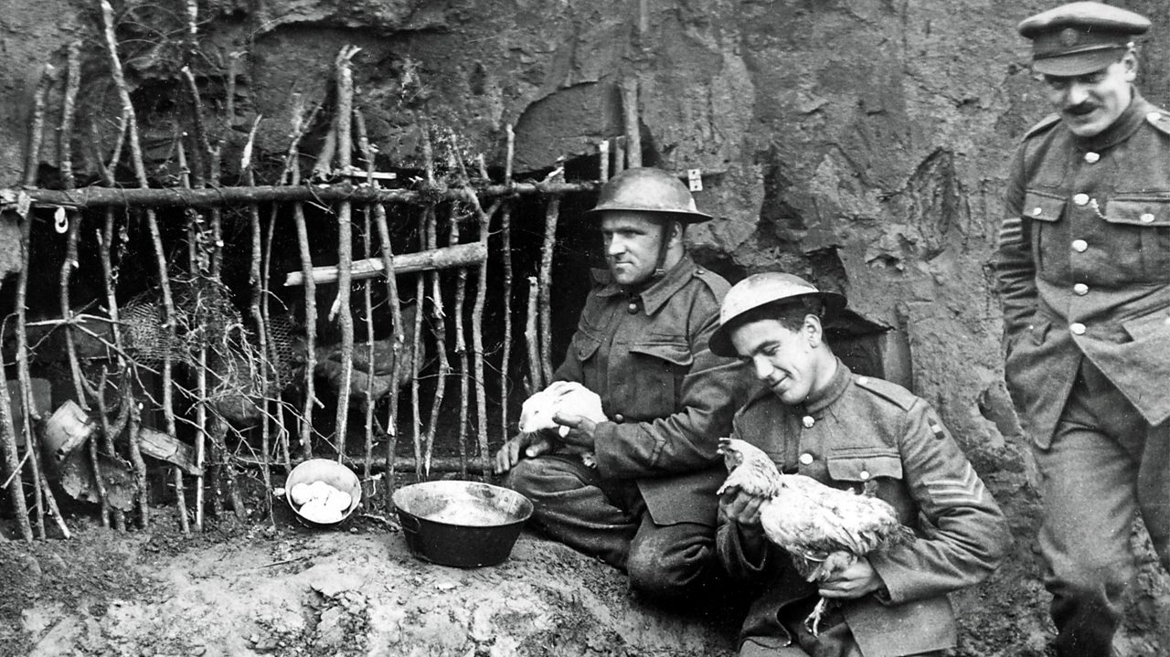 World War 1 Trench Rats