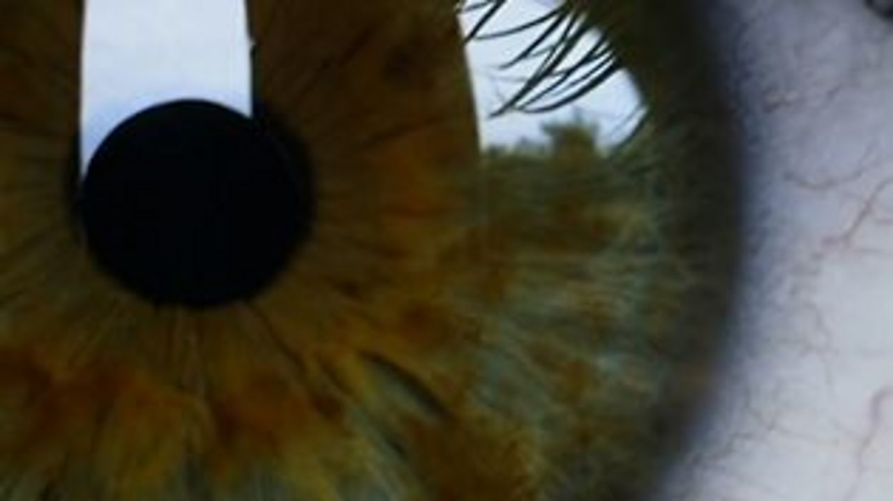 What are vitamins and minerals?