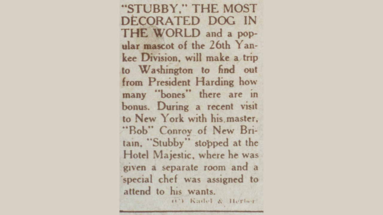 A newspaper article about Sergeant Stubby going to the White House