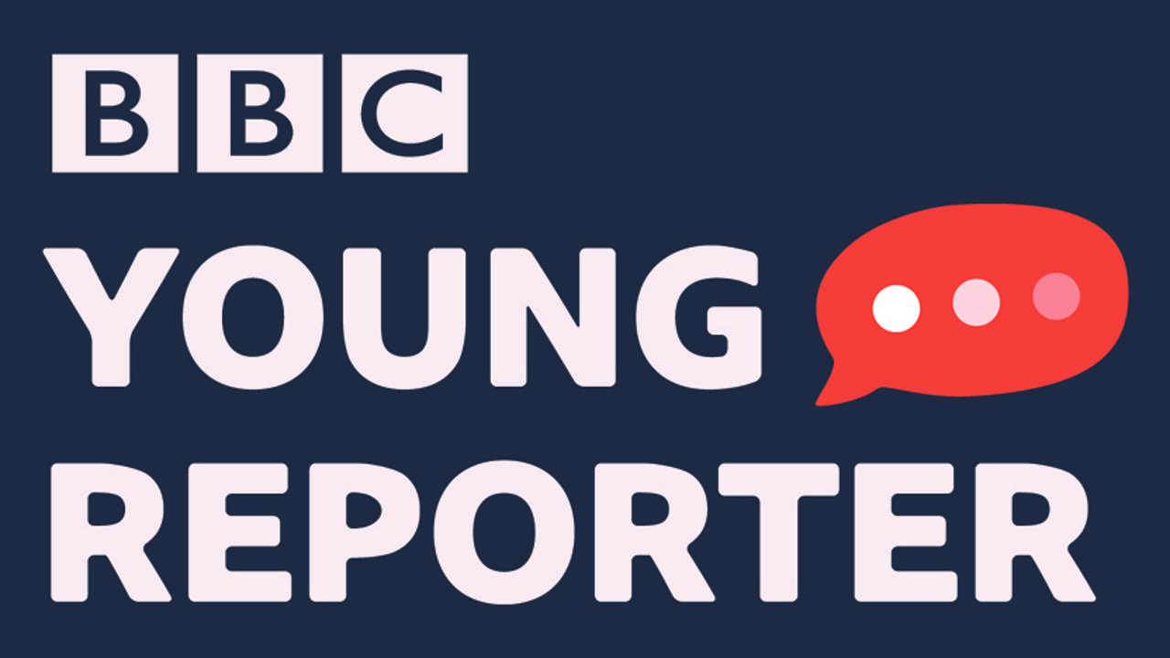 Bbc teach. Bbc teach. Логотип reporter young. Bbc teach. Bbc.