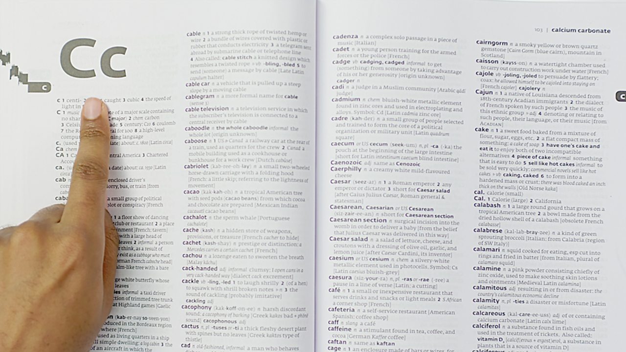 dictionary page