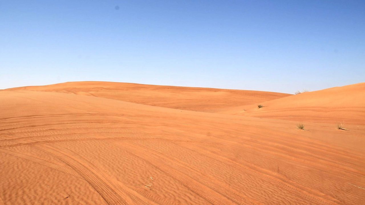 Desert biome