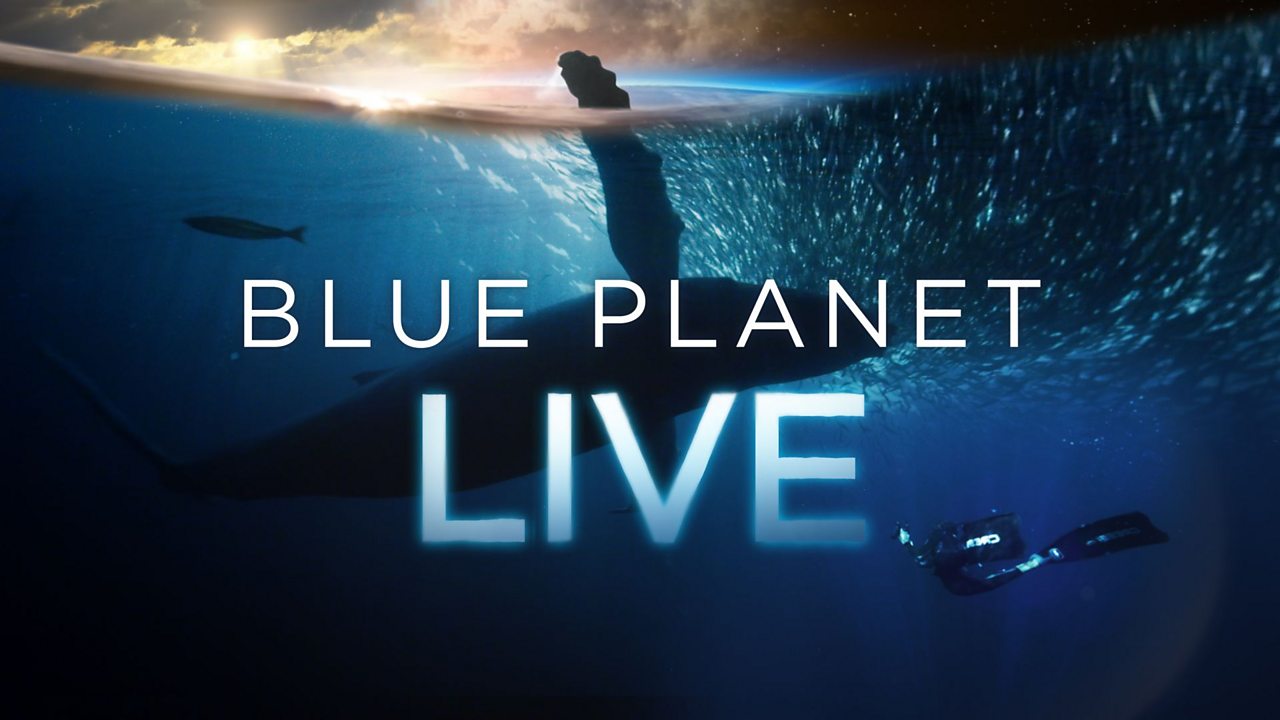 blue planet deep sea orb