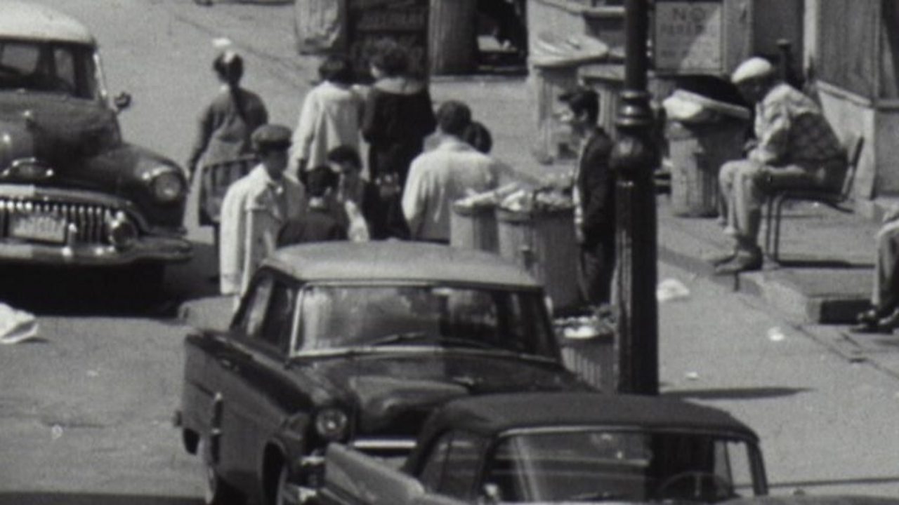 New York juvenile delinquents, 1959