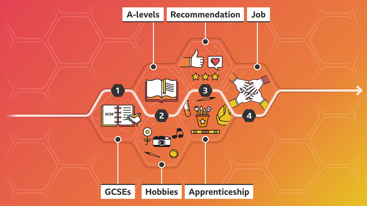Sophie's career path