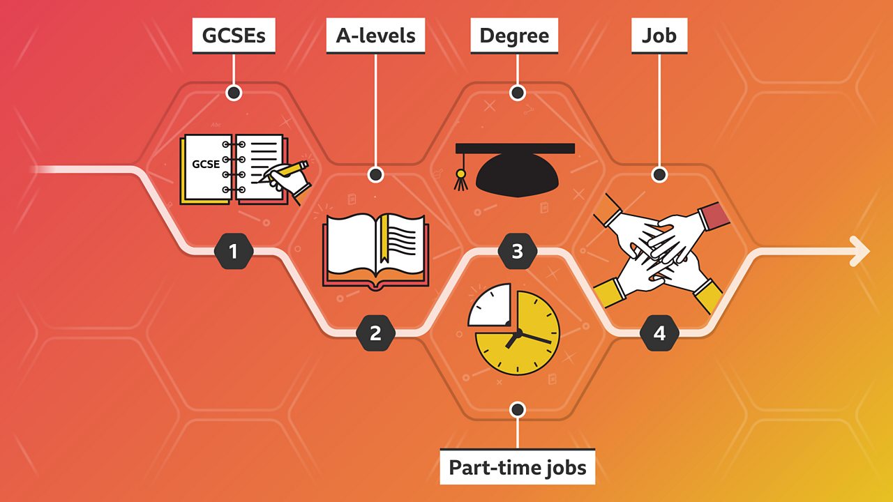 Aine's career path