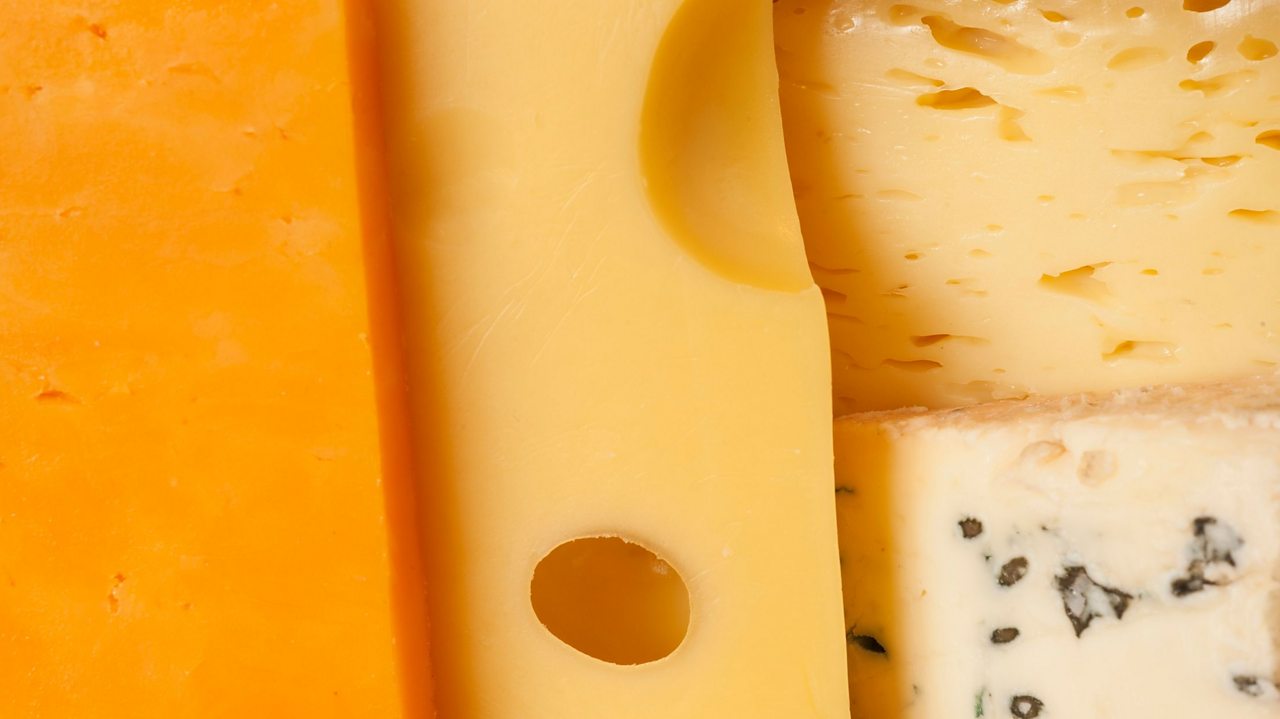 Cheese