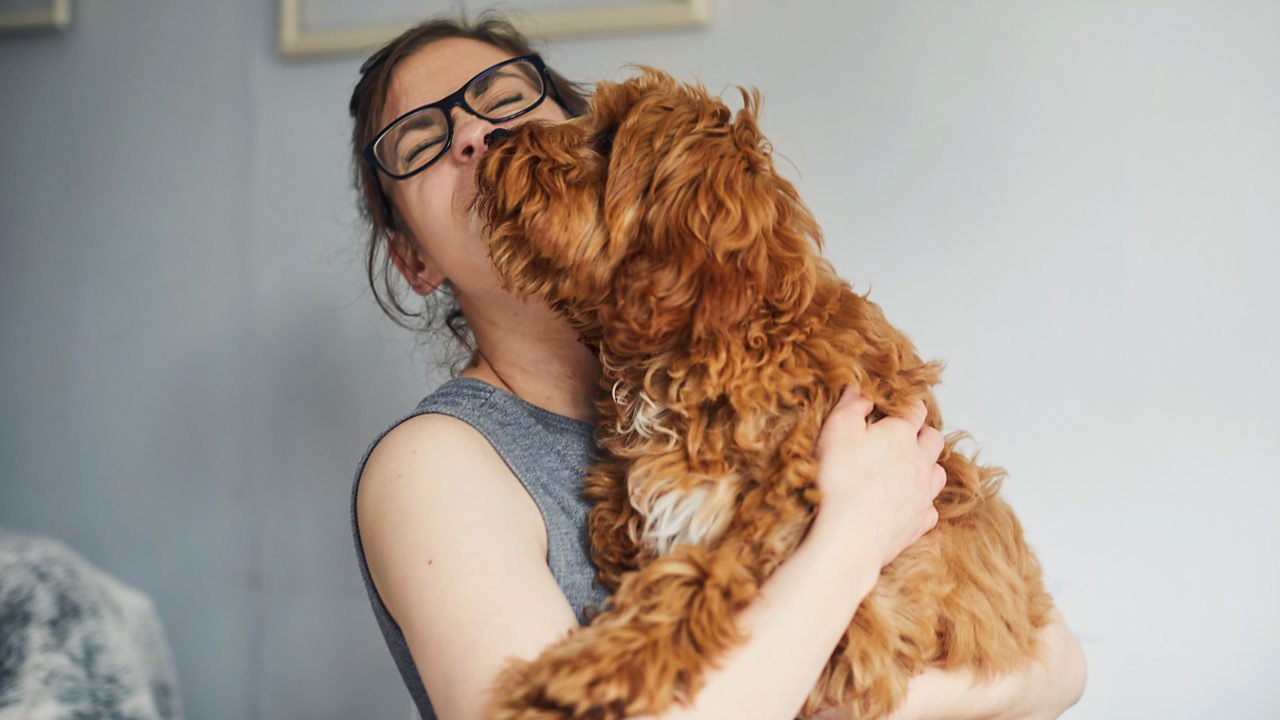 A dog loving its human.