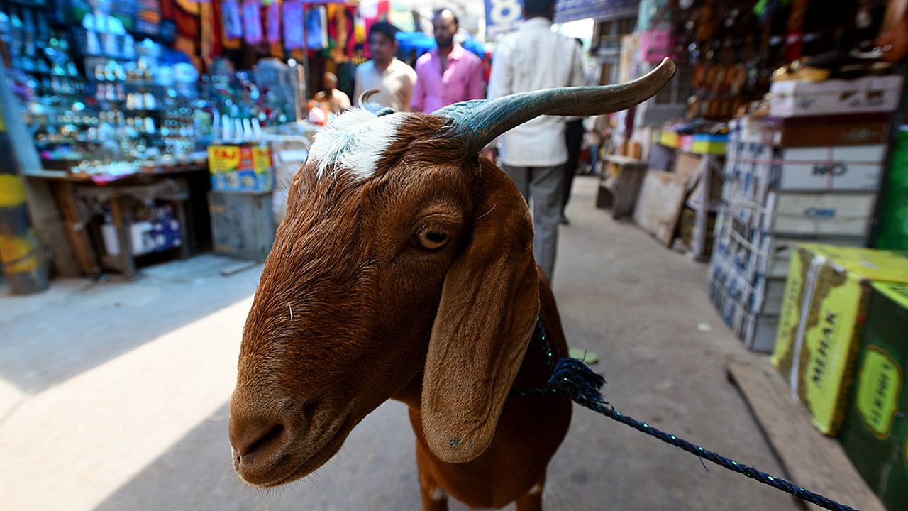 Islam - Preparations for Eid al-Adha, New Delhi, India