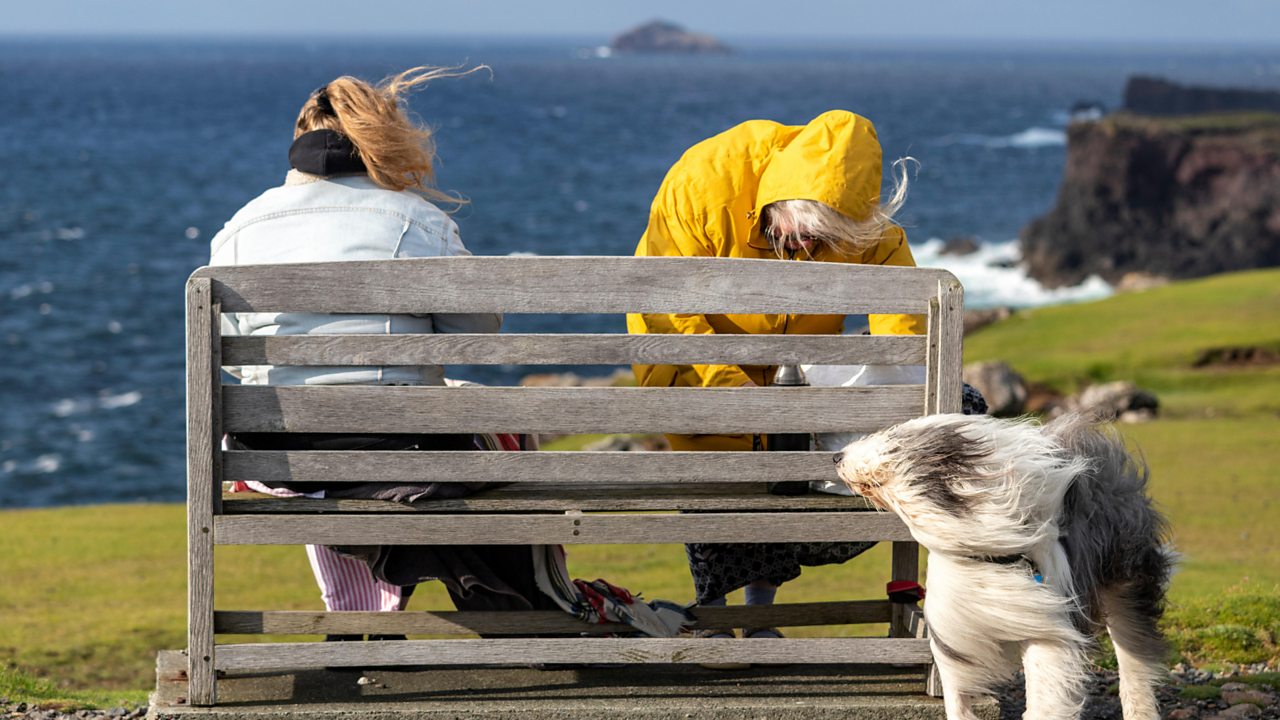 Two people on a park bench overlooking the sea -and their dog - are buffetted by the wind