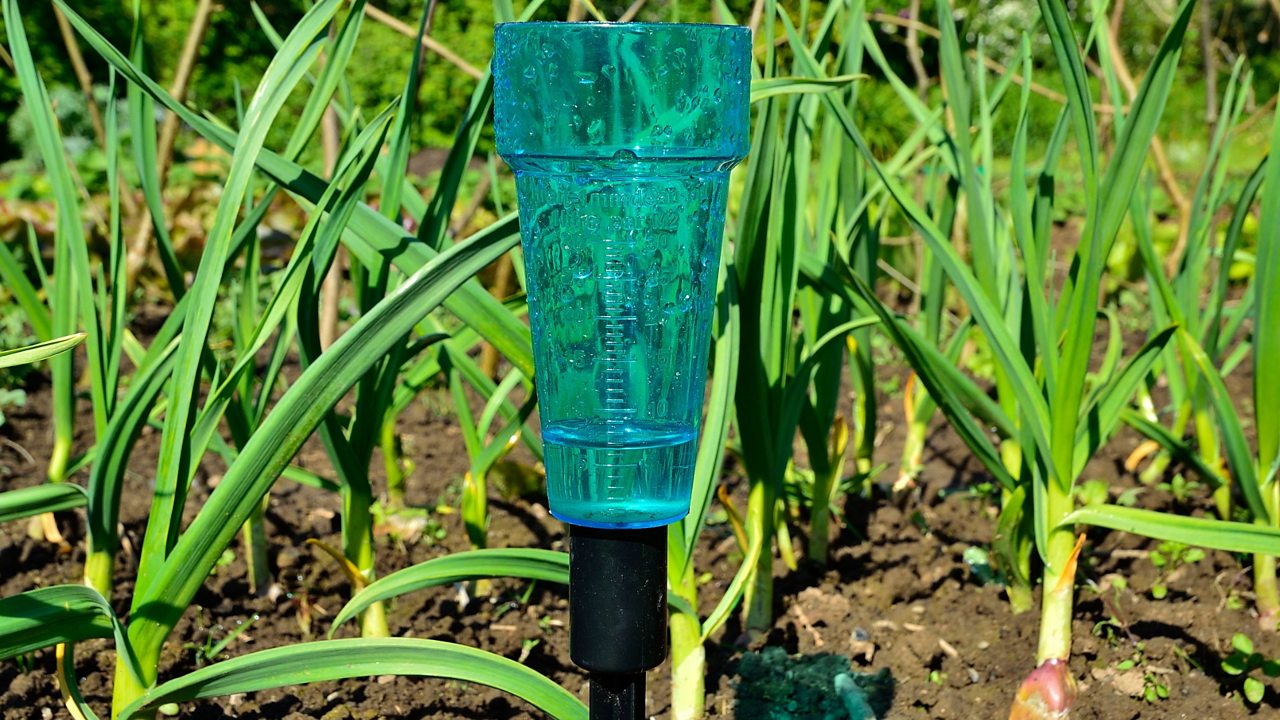 Rain gauge