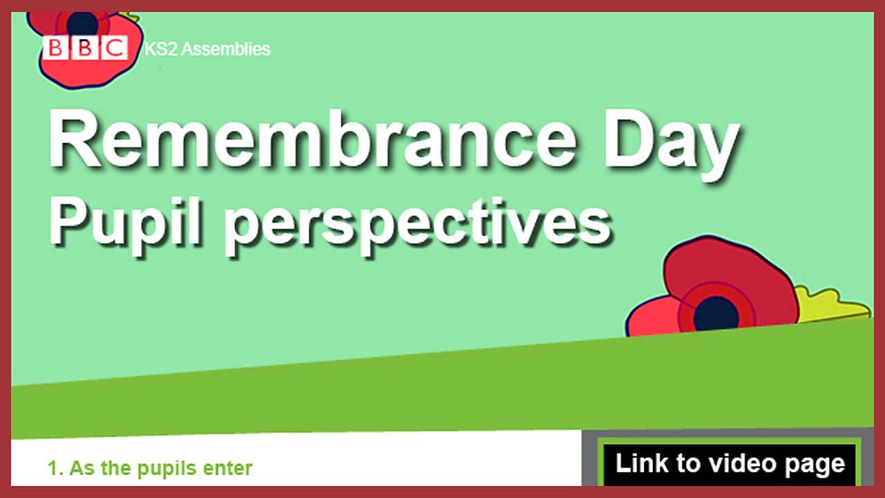 Remembrance Day - Pupil perspecitves