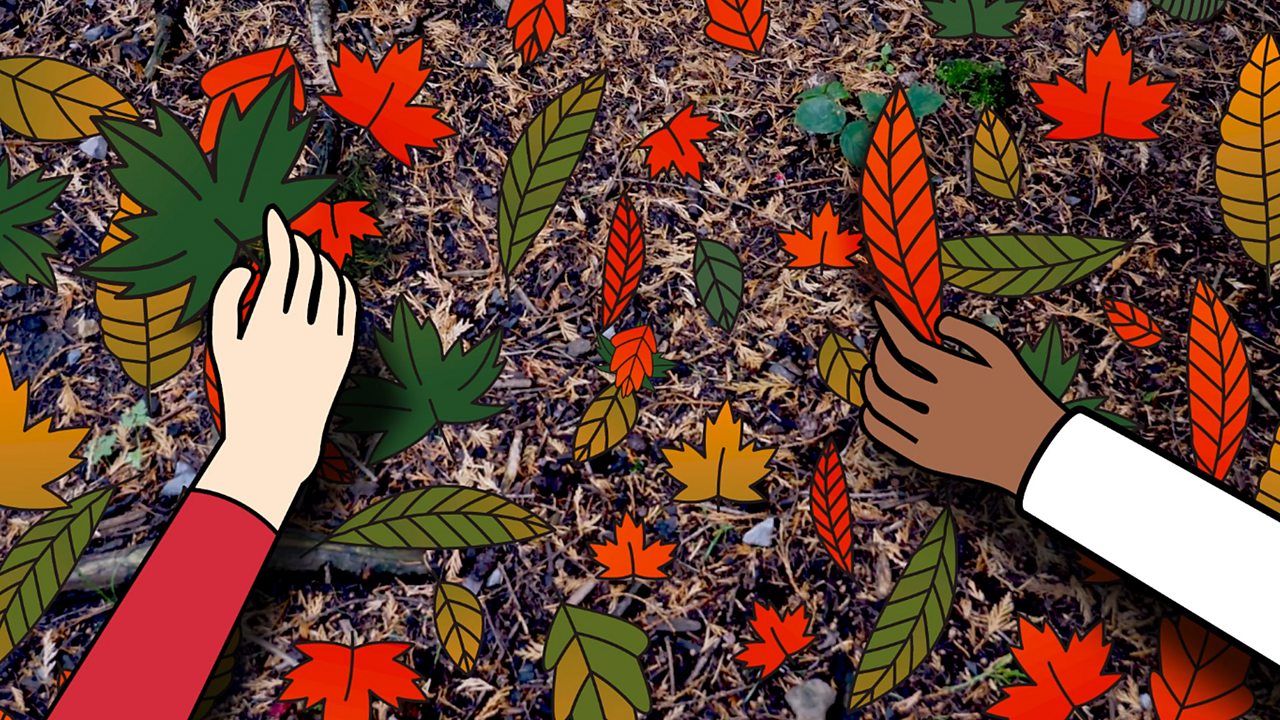Two hands picking up leaves on the ground