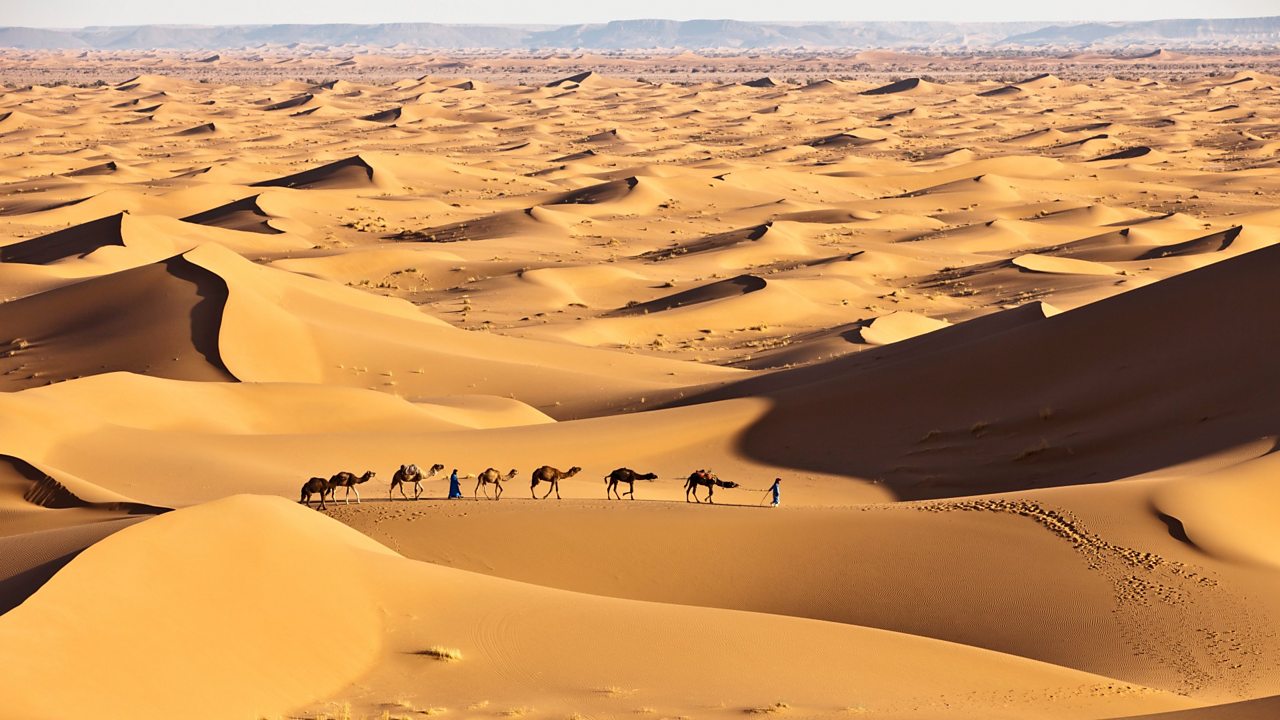 A view across the sand dunes of the Sahara, with a train of camels making their way across the desert.